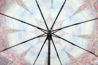 Якісна жіноча парасолька напівавтомат Три Слони з принтом