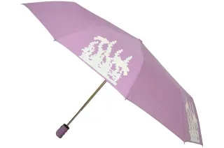 Бузкова жіноча парасолька автомат Love Rain